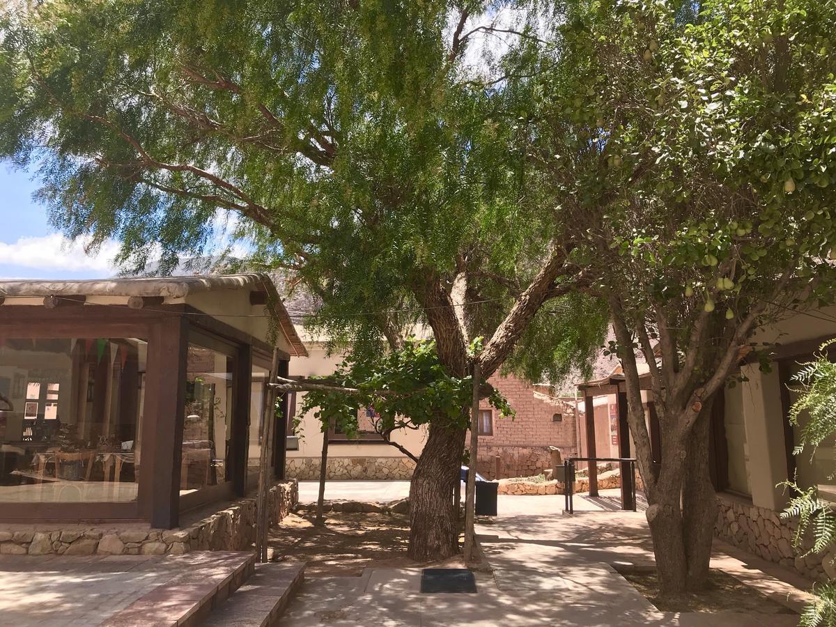 Las Vicunas Departamentos Purmamarca Ngoại thất bức ảnh