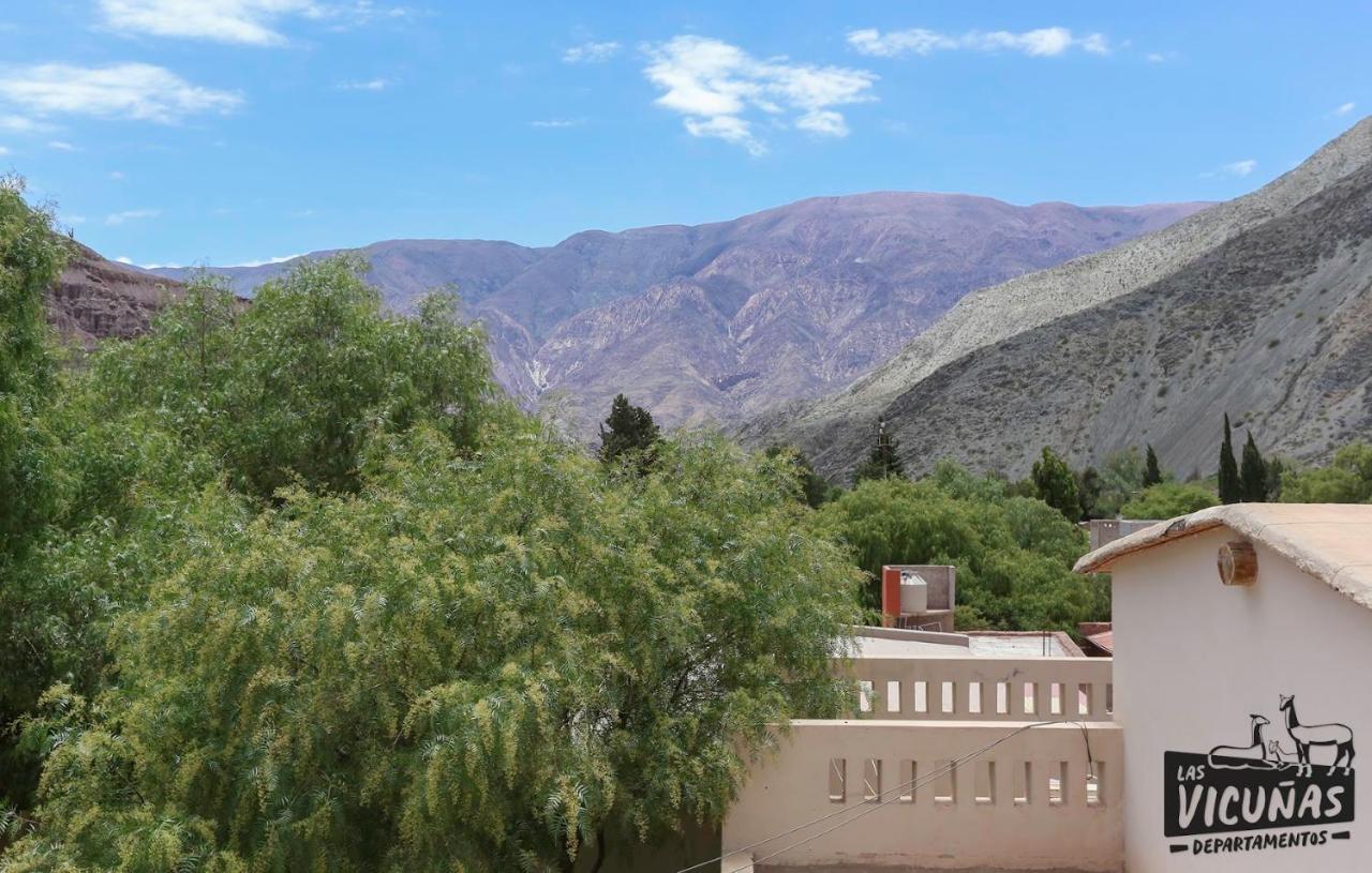 Las Vicunas Departamentos Purmamarca Ngoại thất bức ảnh